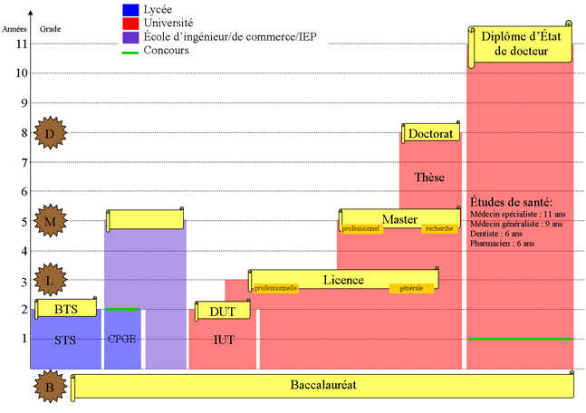 etudes de médecine